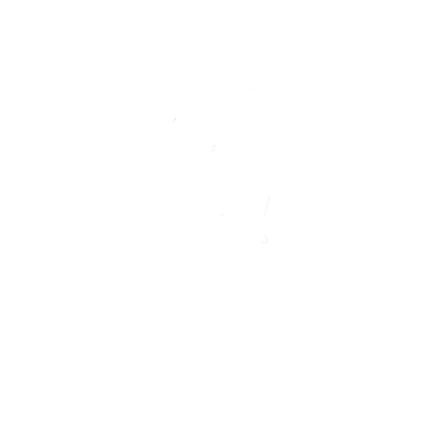 ANDRE BOCASSI